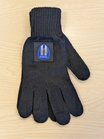 Adult Gloves
