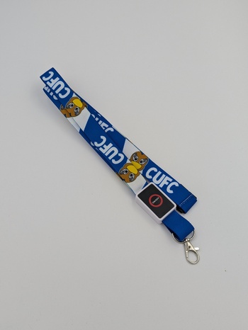 LED Lanyard