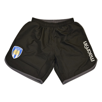 BAZALT Swimming Shorts